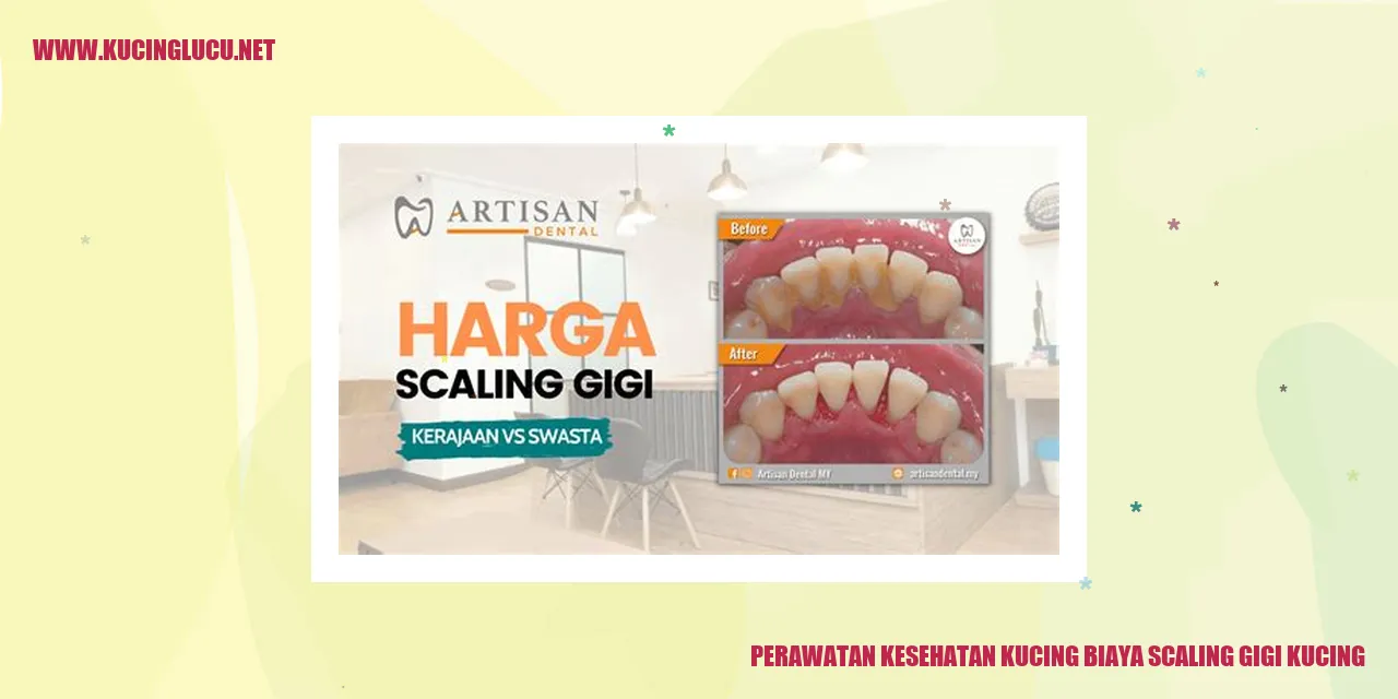 Perawatan Pembersihan Gigi Kucing