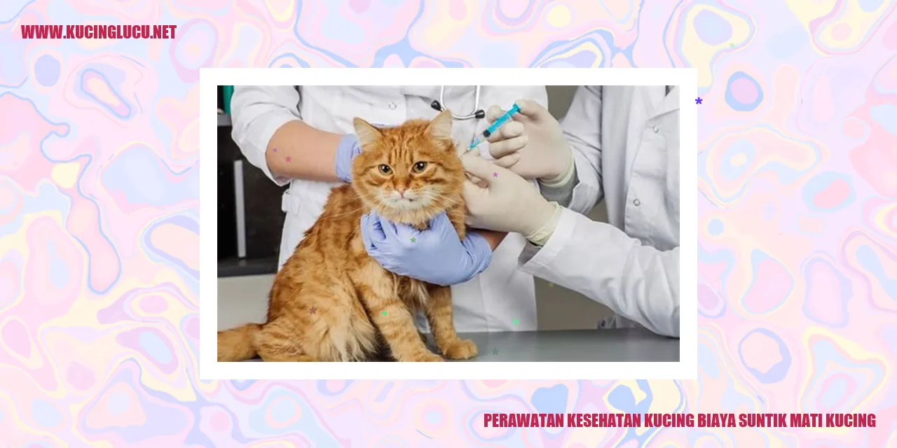 Perawatan Kesehatan Kucing dan Biaya Suntik Mati Kucing