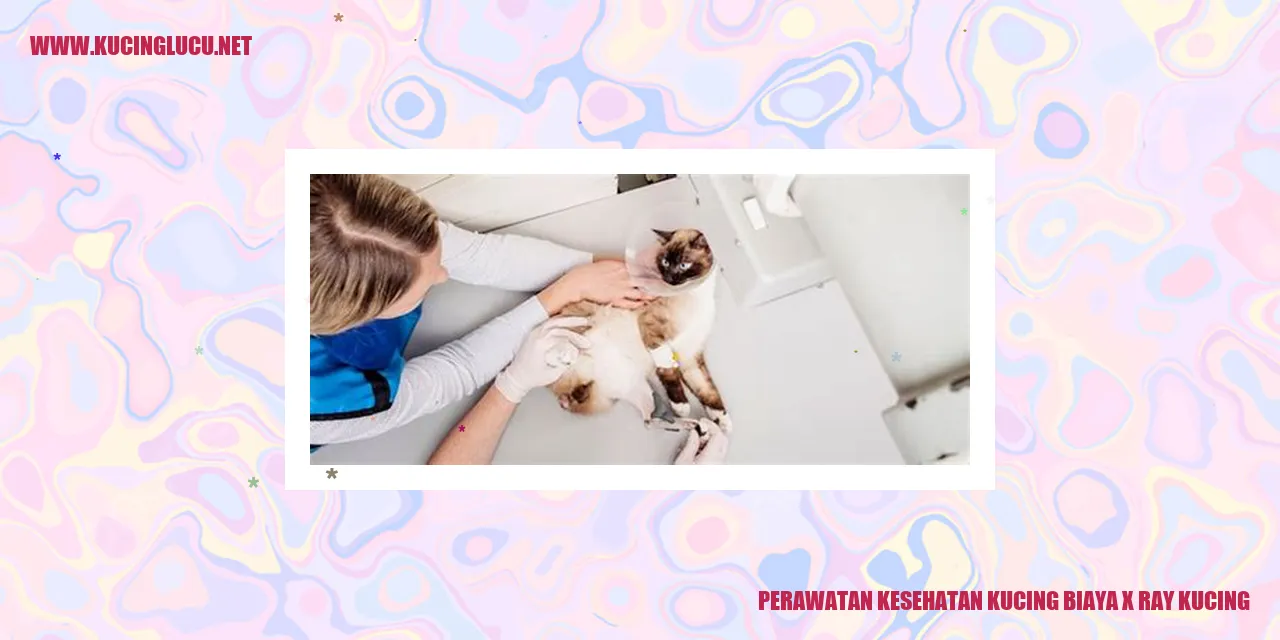 Perawatan Kesehatan Kucing