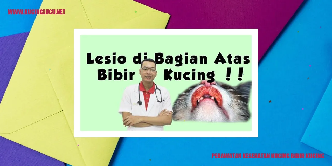 Perawatan Kesehatan Kucing Bibir Kucing
