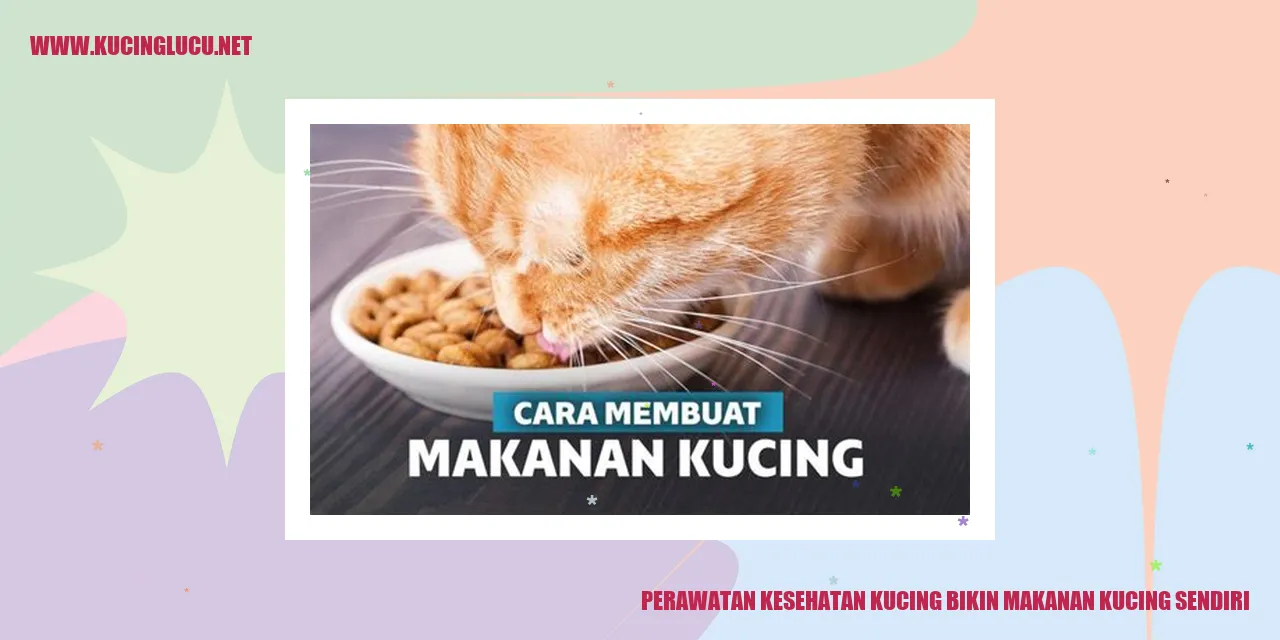 Perawatan Kesehatan Kucing