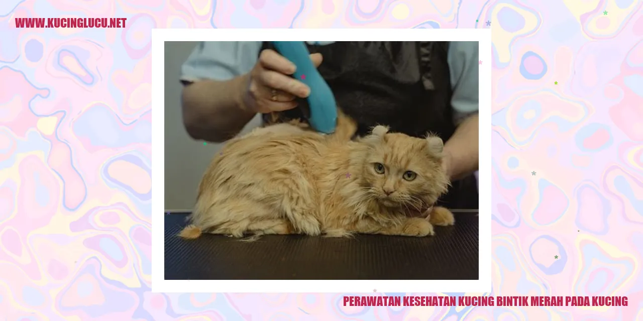 Kucing bintik merah