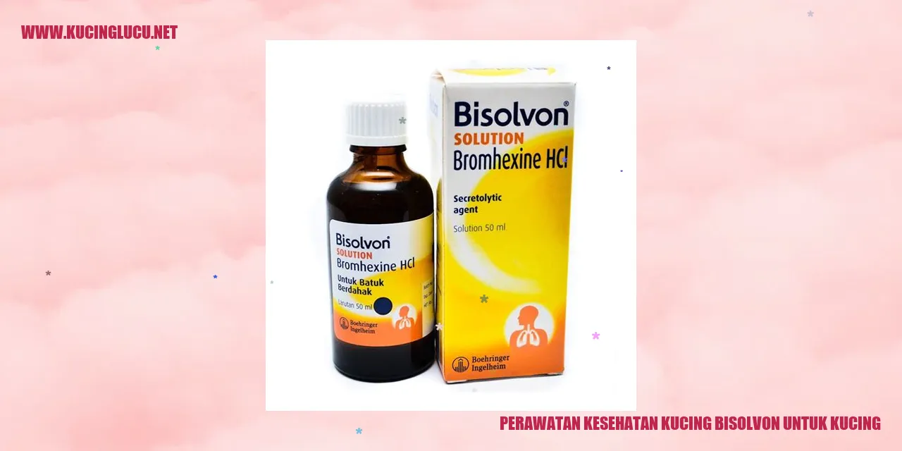 Perawatan Kesehatan Kucing dengan Bisolvon