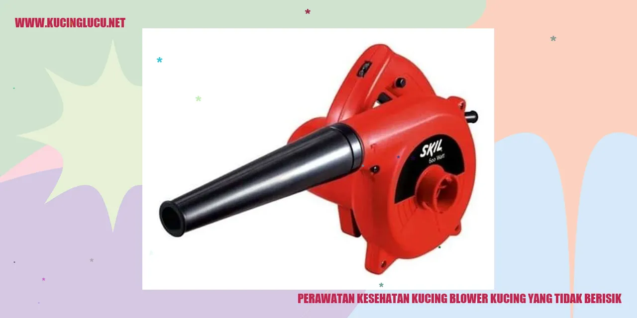 Perawatan Kesehatan Kucing Blower yang Tidak Berisik
