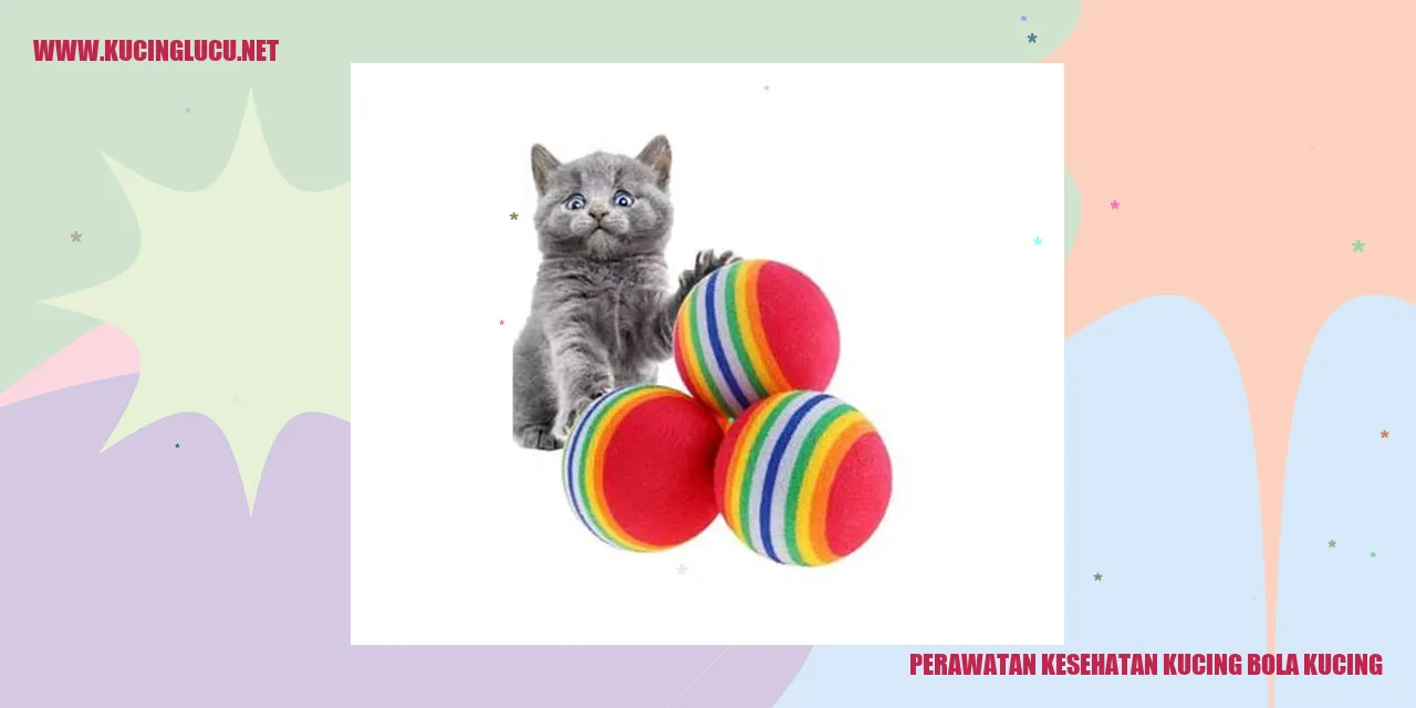 Gambar Kucing Bola