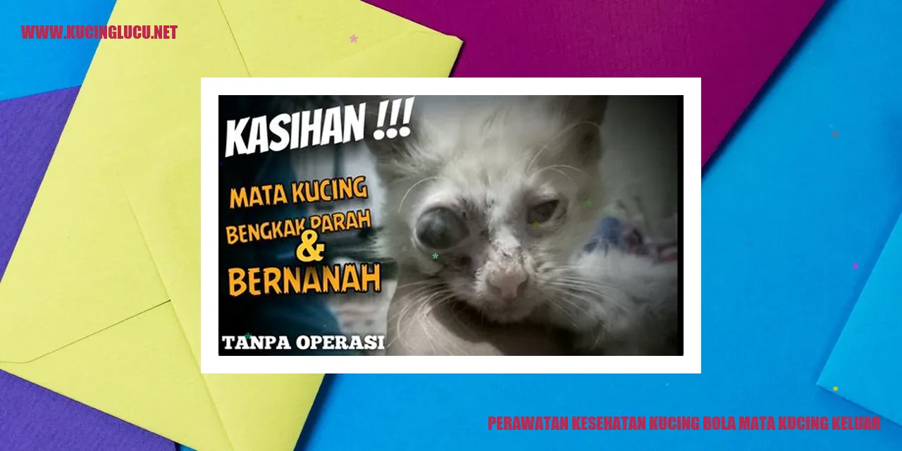Perawatan Kucing: Bola Mata Kucing Keluar