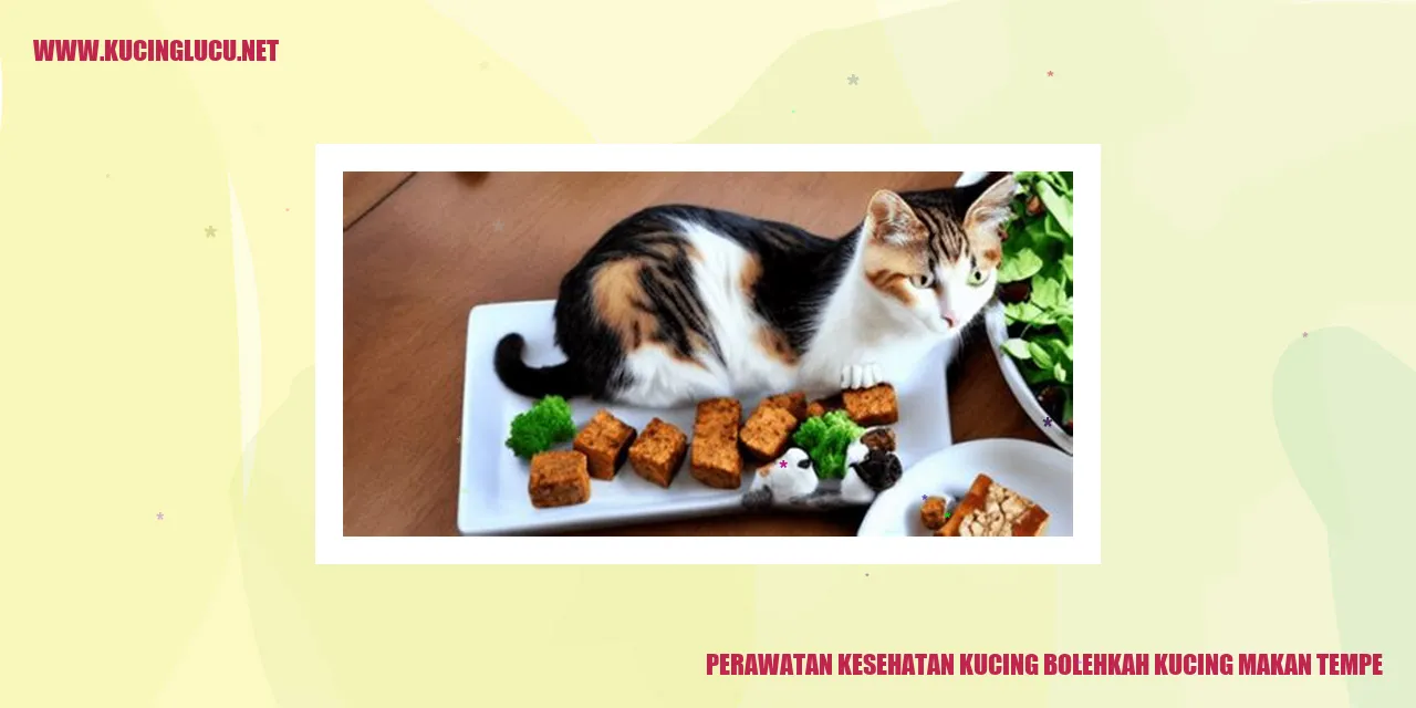 Gambar Kucing