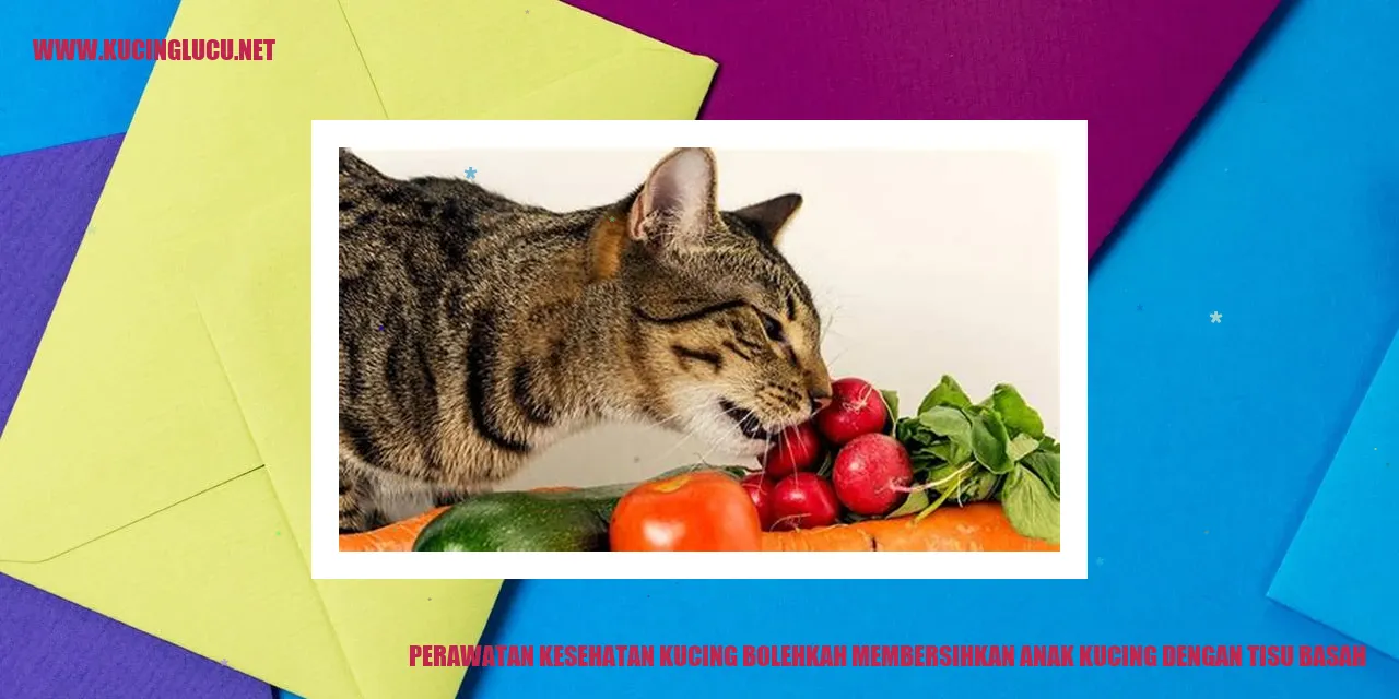 Perawatan Kesehatan Kucing