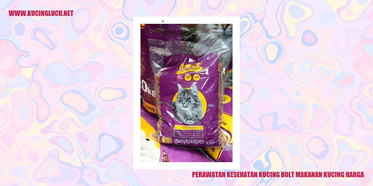 Perawatan Kesehatan Kucing