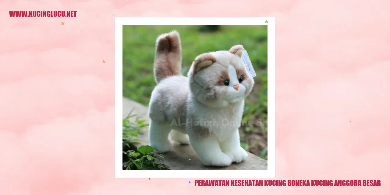 Kucing Anggora Besar