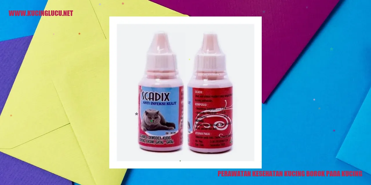 Perawatan Kesehatan Kucing Borok pada Kucing