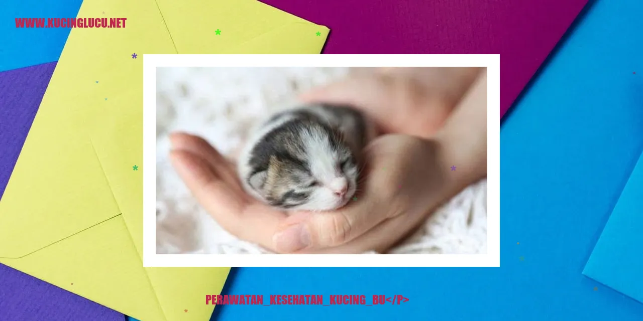 Perawatan Kesehatan Kucing
