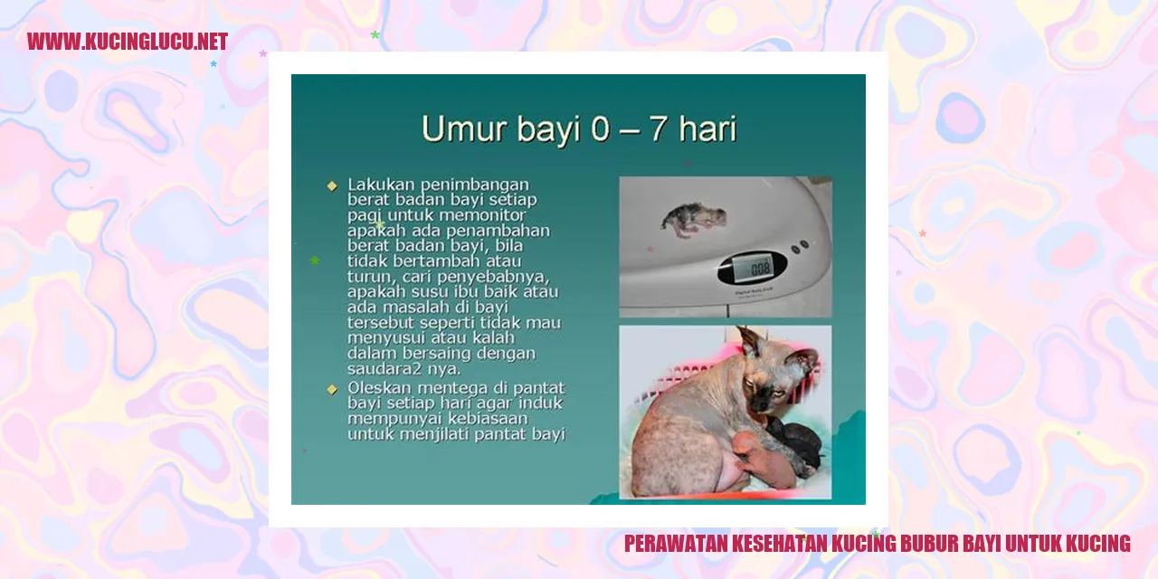 Perawatan Kesehatan Kucing: Bubur Bayi untuk Kucing