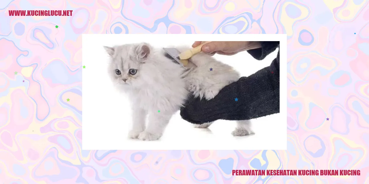 Perawatan Kesehatan Kucing bukan Kucing
