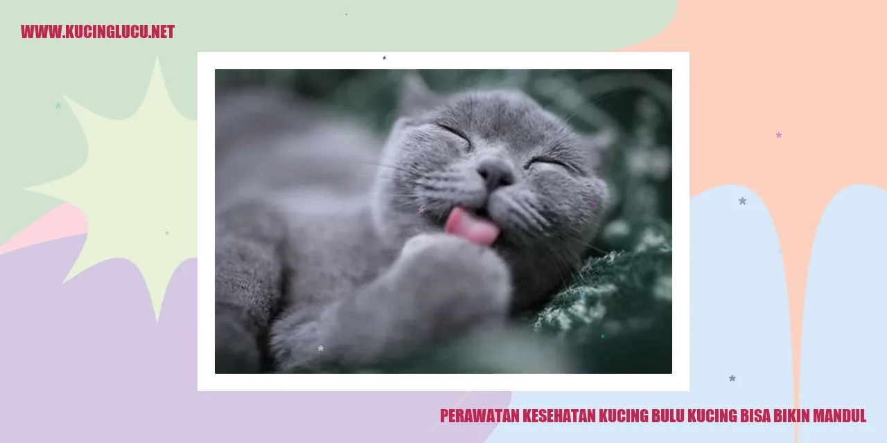Perawatan Kesehatan Kucing bulu kucing bisa bikin mandul