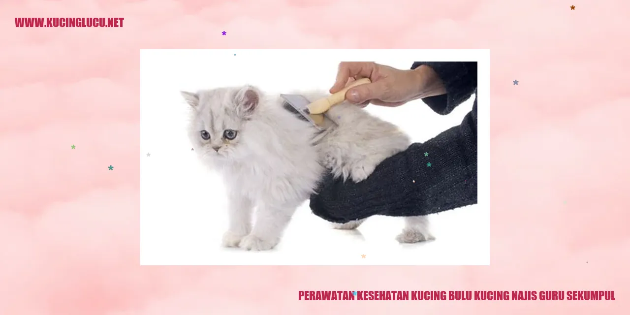Perawatan Kesehatan Kucing
