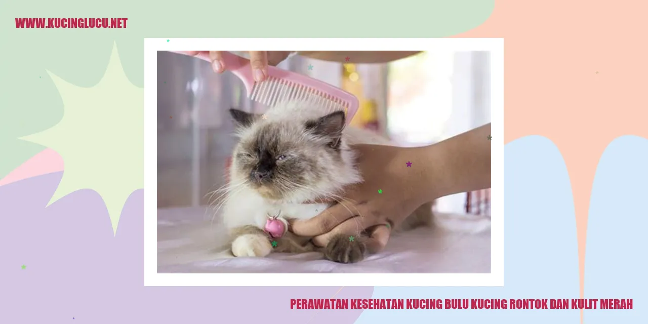 Perawatan Kesehatan Kucing bulu kucing rontok dan kulit merah
