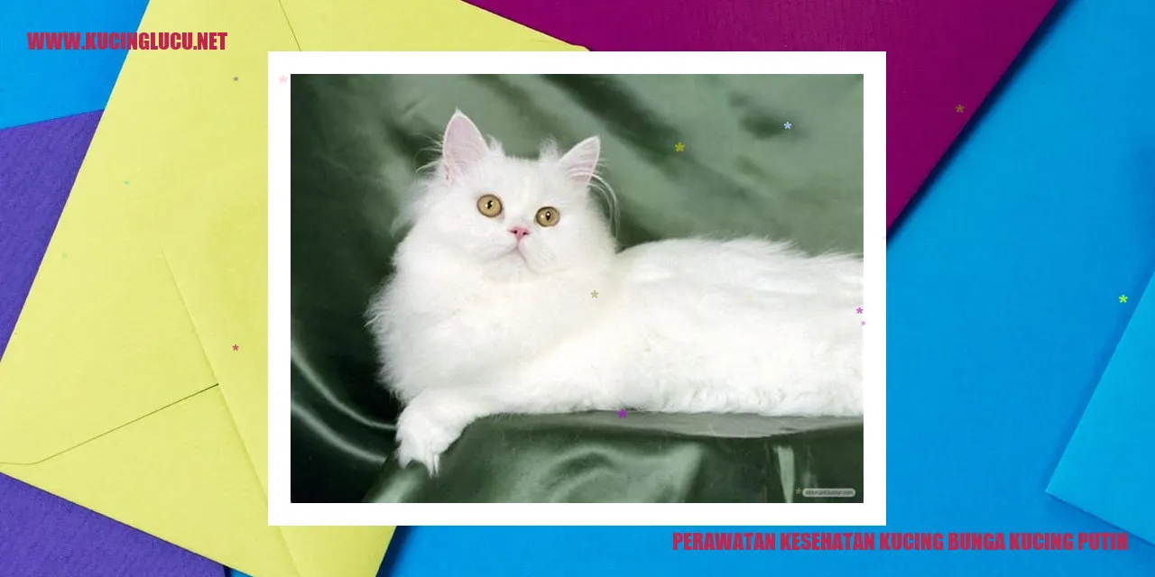 Kucing Bunga Kucing Putih