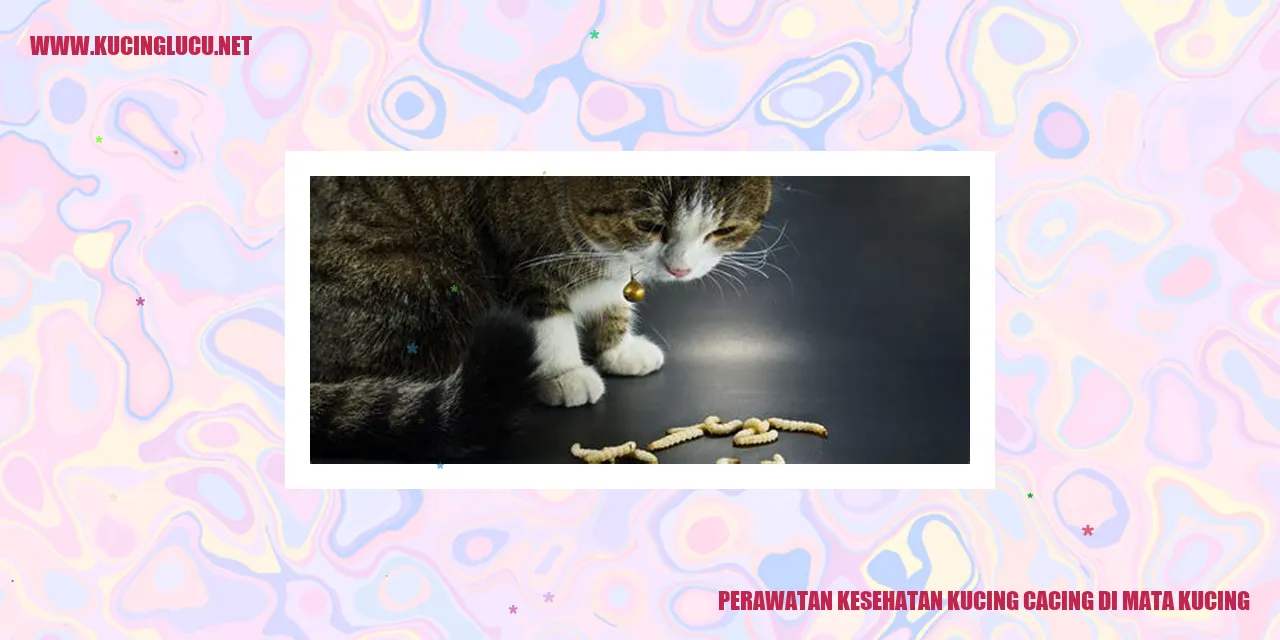gambar kucing yang mengalami infeksi cacing di mata