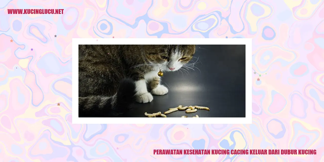 Perawatan Kesehatan Kucing cacing keluar dari dubur kucing