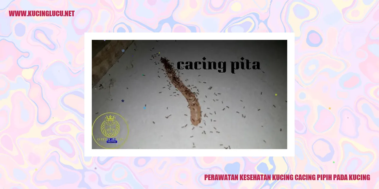 Perawatan Kesehatan Kucing cacing pipih pada kucing
