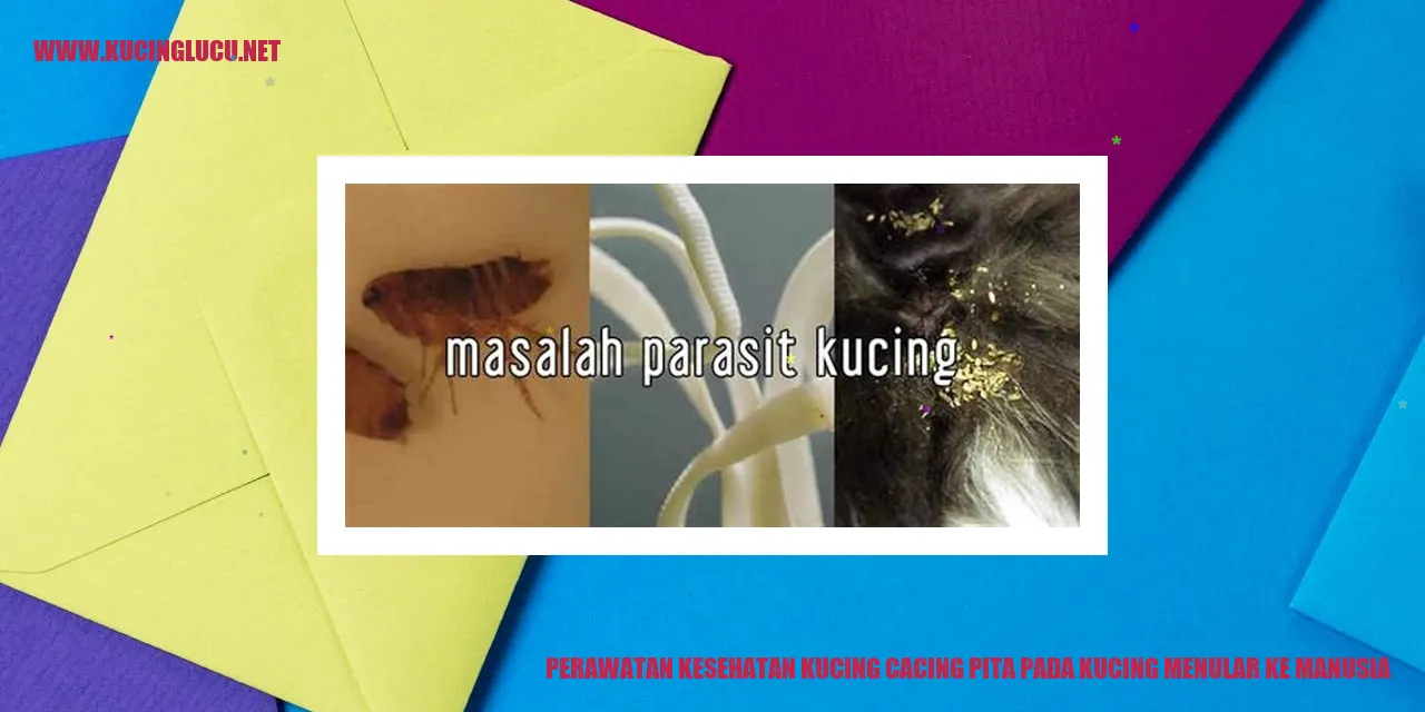 Perawatan Kesehatan Kucing cacing pita pada kucing menular ke manusia
