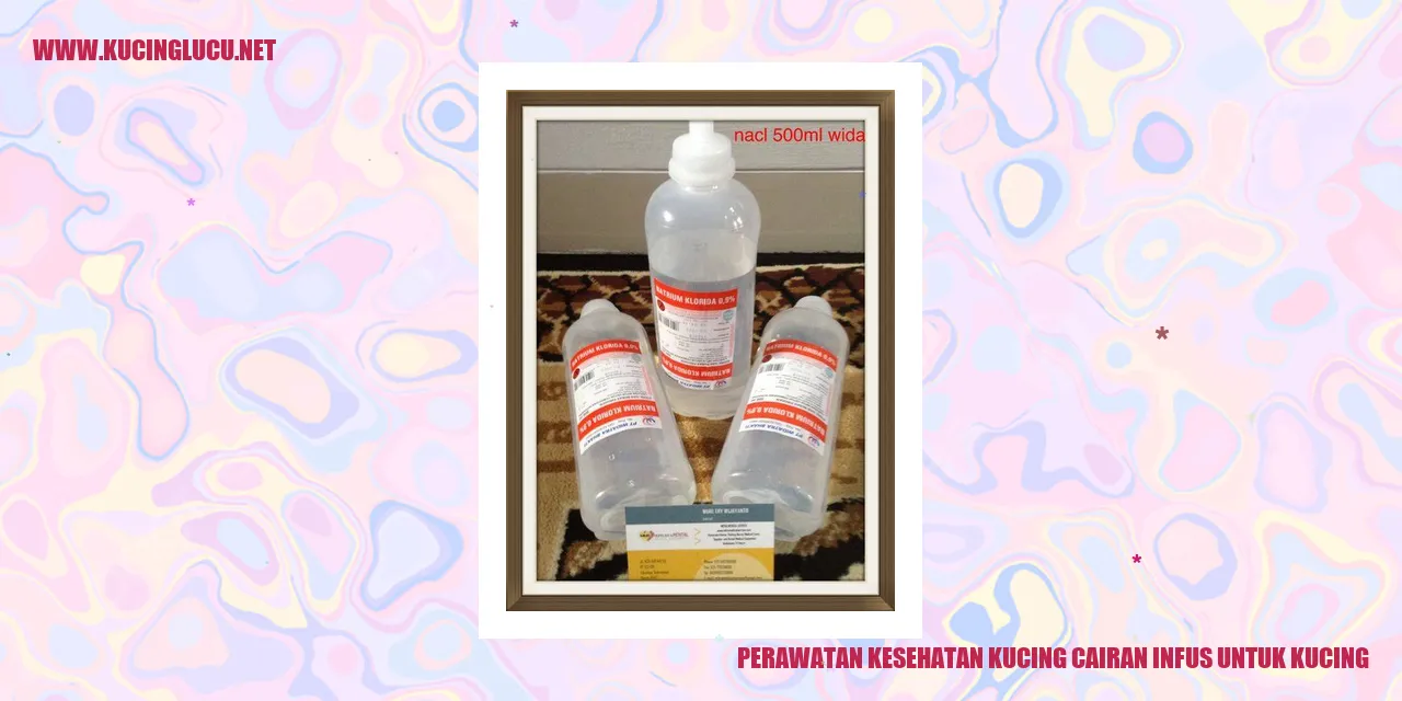 Perawatan Kesehatan Kucing cairan infus untuk kucing
