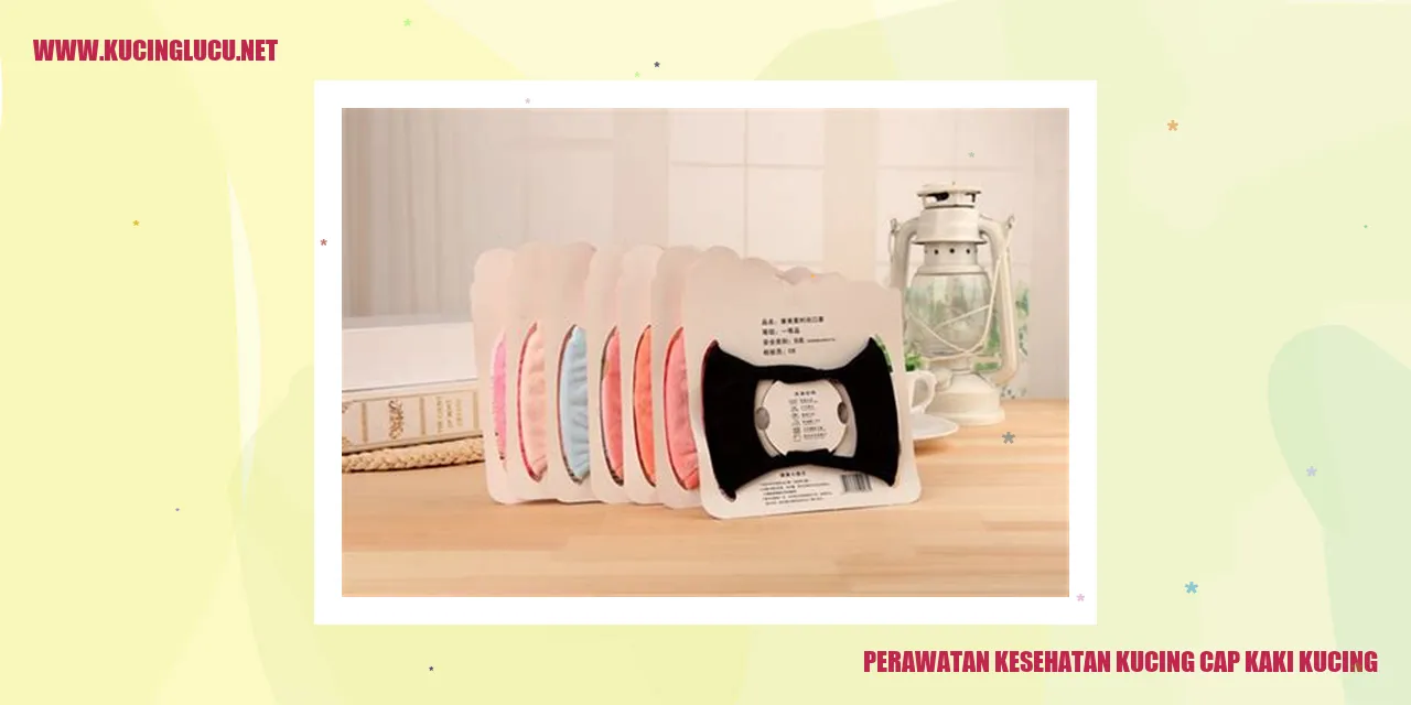 Kucing Cap Kaki Kucing