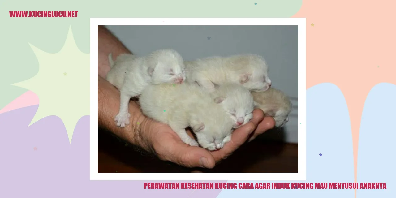 foto kucing induk yang menyusui anaknya