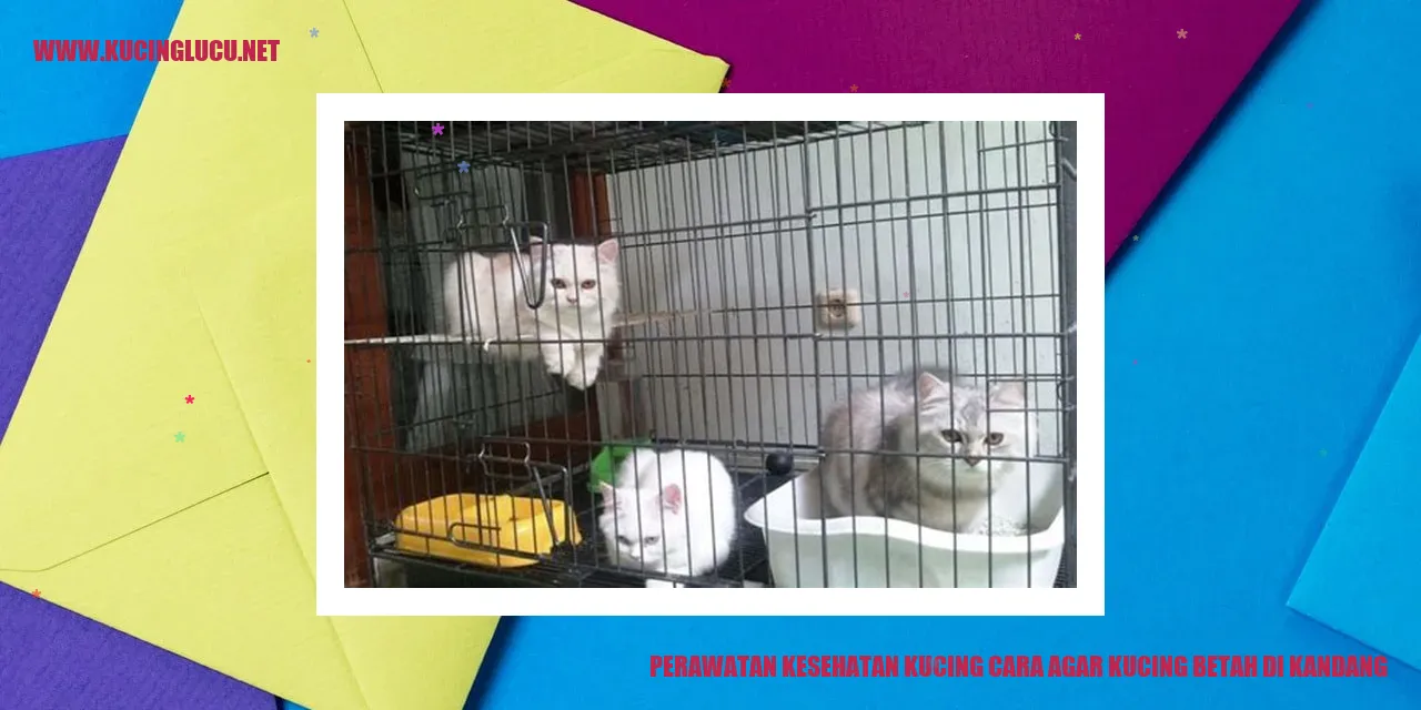 Perawatan Kesehatan Kucing