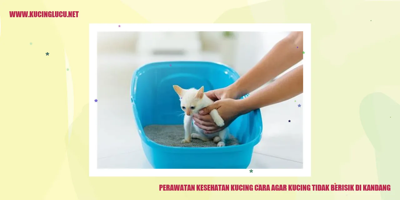 Perawatan Kesehatan Kucing