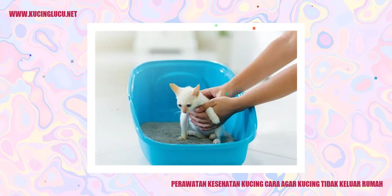 Perawatan Kesehatan Kucing