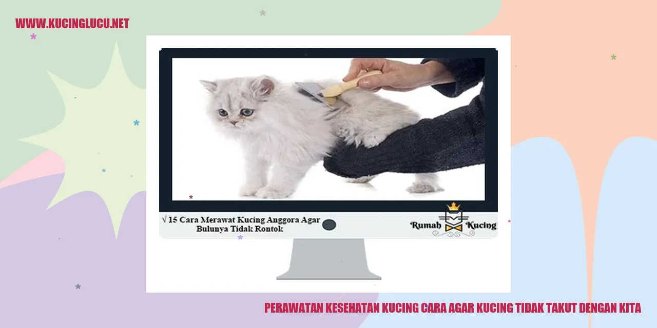 Kucing yang akrab dengan manusia