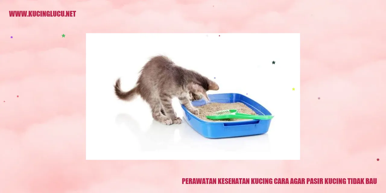 Pasir Kucing yang Bebas Bau