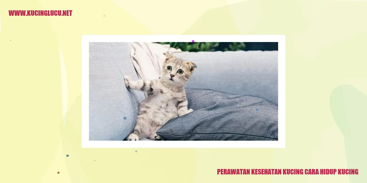 Perawatan Kesehatan Kucing