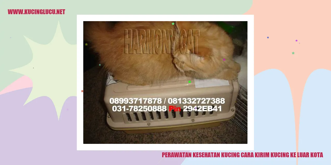 Perawatan Kesehatan Kucing dan Tips Mengirim Kucing ke Luar Kota