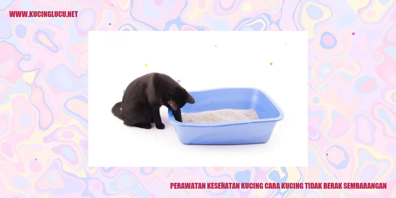 Perawatan Kesehatan Kucing