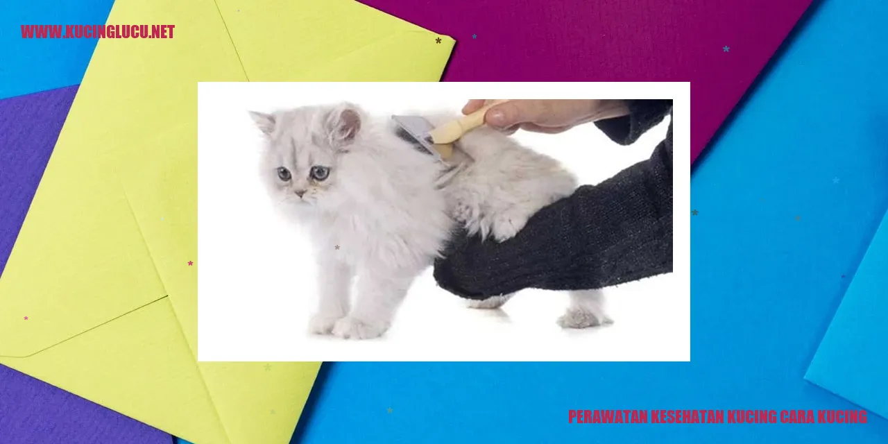 Perawatan Kesehatan Kucing cara kucing