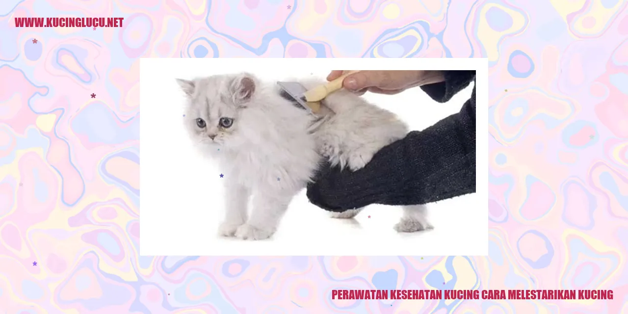 Perawatan Kesehatan Kucing
