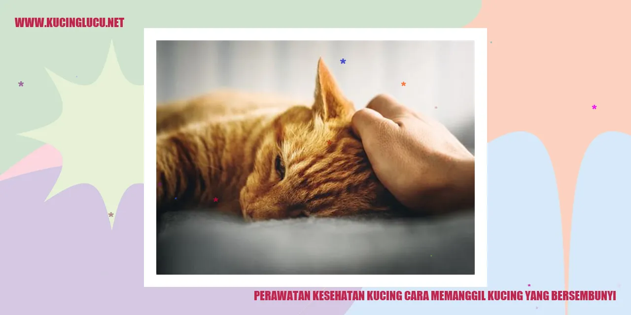 Perawatan Kesehatan Kucing: Cara Memanggil Kucing yang Bersembunyi