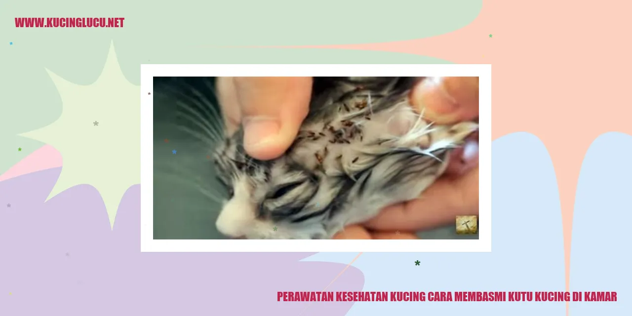 Ilustrasi kutu kucing