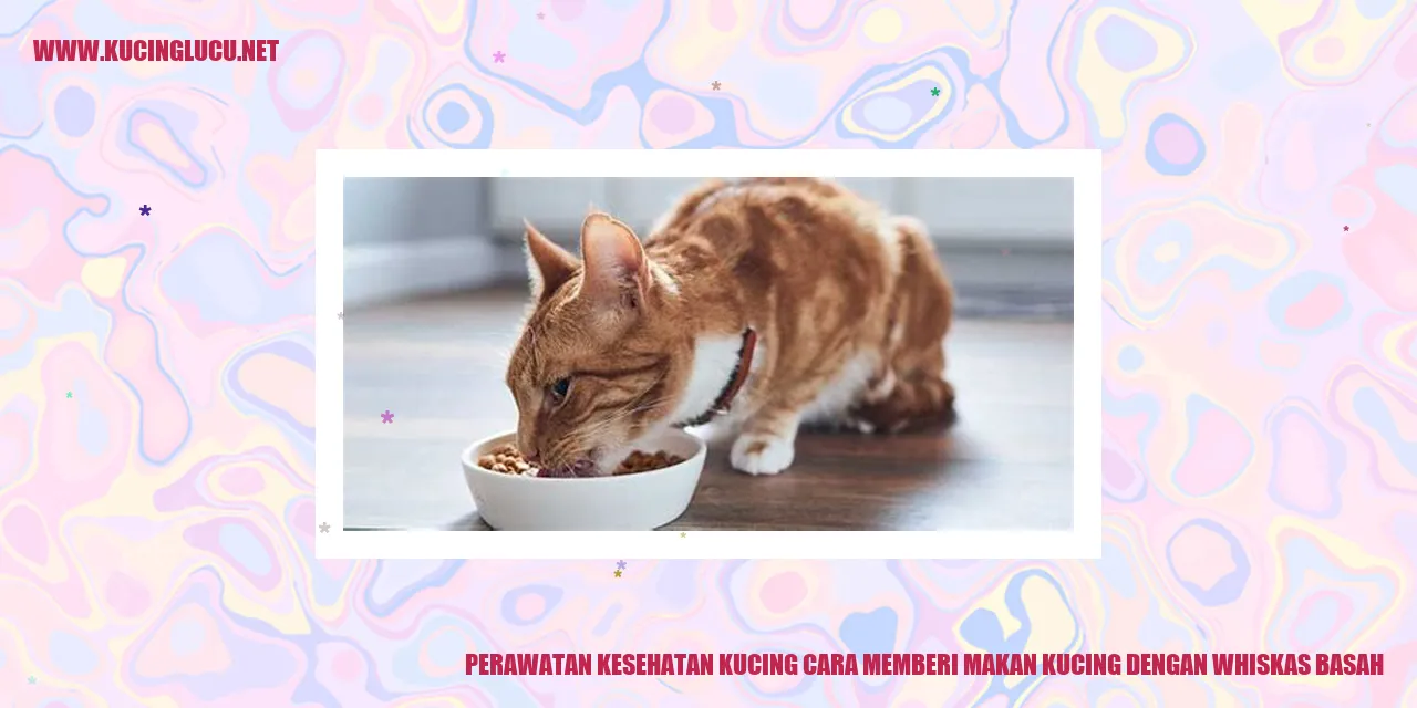 Gambar Kucing yang Menggemaskan