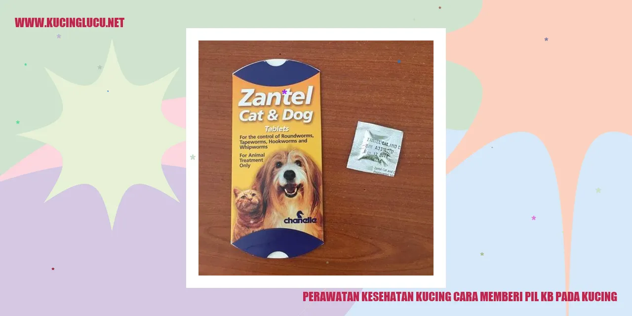 Perawatan Kesehatan Kucing