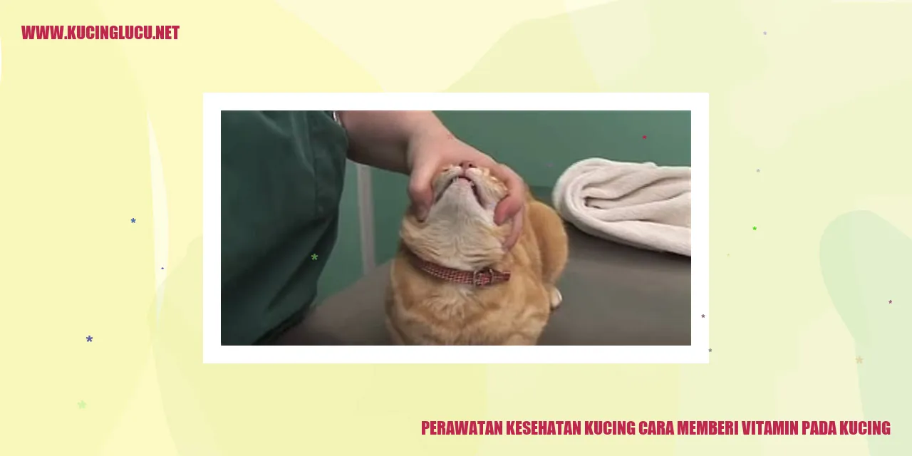 Perawatan Kesehatan Kucing