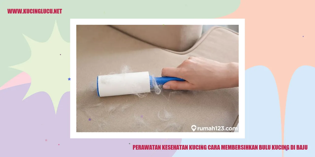 Bulu kucing menempel di baju