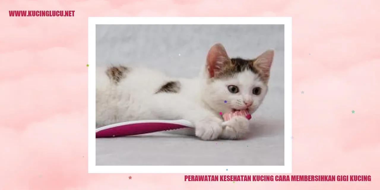 Kucing gigi