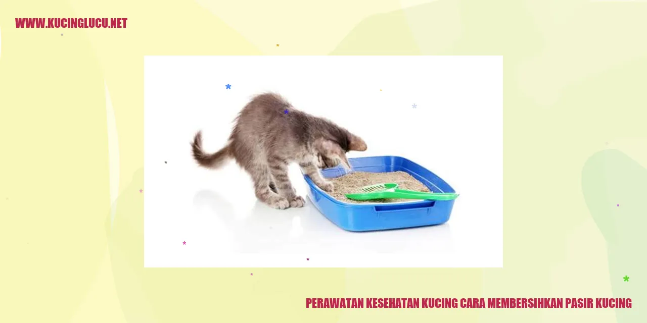 Perawatan Kesehatan Kucing cara membersihkan pasir kucing