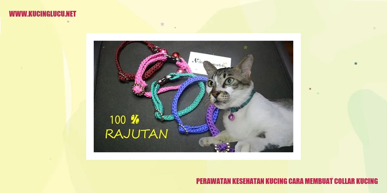 Perawatan Kesehatan Kucing cara membuat collar kucing