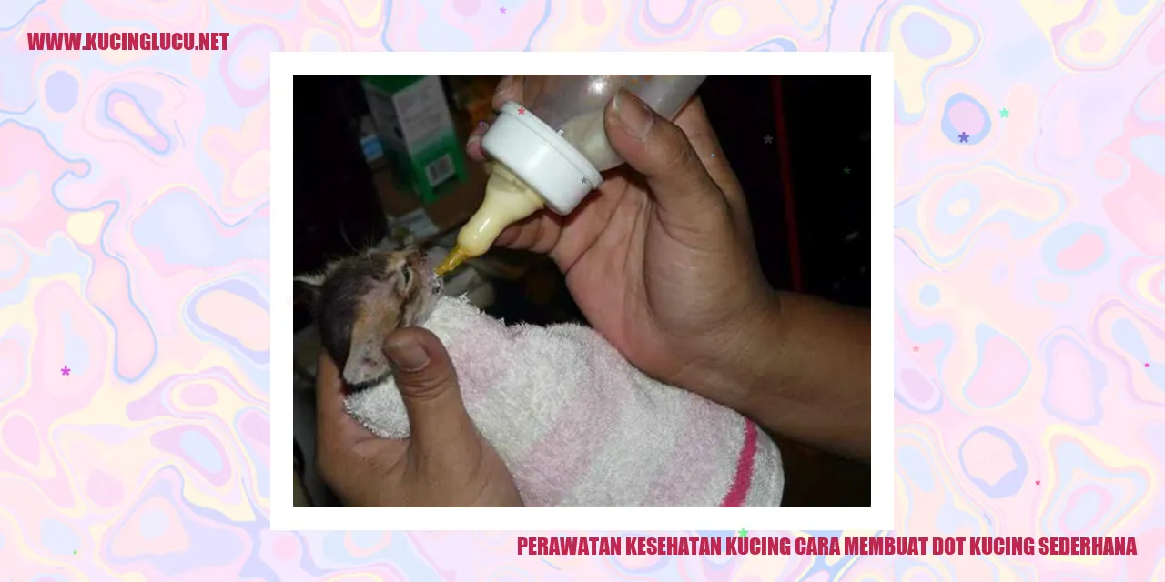 Perawatan Kesehatan Kucing cara membuat dot kucing sederhana