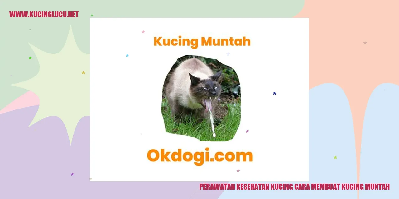 Gambar kucing yang muntah